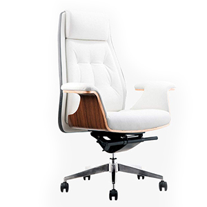 luxurious retro office chair